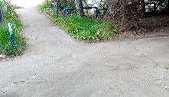 Rastinje na uglu Sonje Marinković i Lajoša Joa