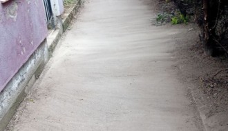 Rastinje na uglu Sonje Marinković i Lajoša Joa