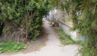 Rastinje na uglu Sonje Marinković i Lajoša Joa