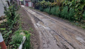 Neasfaltirana Daruvarska ulica, problem kanalizacija