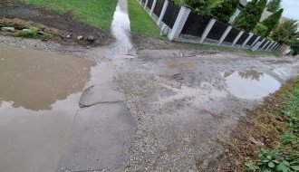 Neasfaltirana Daruvarska ulica, problem kanalizacija