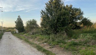 Zarasla Apatinska ulica