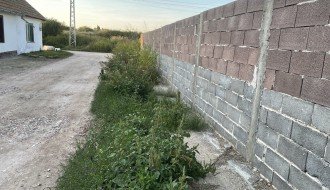 Zarasla Apatinska ulica