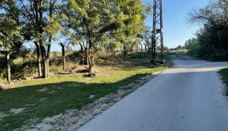 Psi lutalice na uglu Bezdanske i Kozaračke ulice