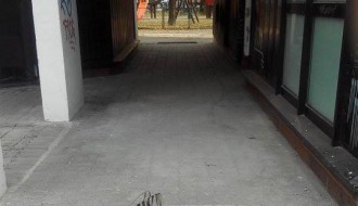 Bahatost i neodgovornost