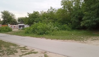 Rastinje višegodišnji problem (Šabačka ulica)