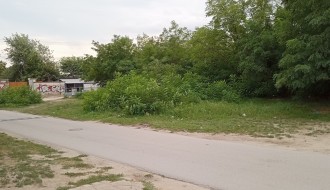 Rastinje višegodišnji problem (Šabačka ulica)