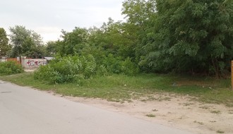Rastinje višegodišnji problem (Šabačka ulica)