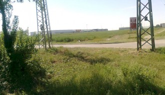 "Košenje" korova u Subotica