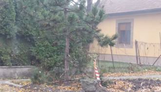 Uništavanje travnjaka, prilaza i druge javne površine zbog polaganja kablova (Kertvaroš)