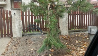 Uništavanje travnjaka, prilaza i druge javne površine zbog polaganja kablova (Kertvaroš)