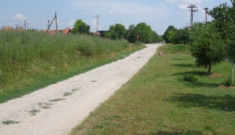 Ko kosi, a ko ne kosi!