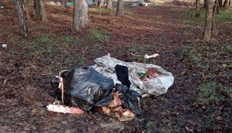 Bačeni leševi životinja u Kelebijskoj šumi