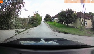 Divlje rastinje pored puta (Verušićkа ulicа)