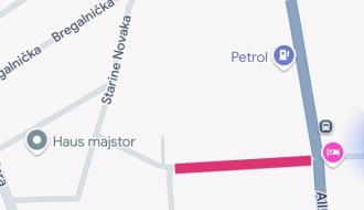 Divlje rastinje pored puta (Verušićkа ulicа)