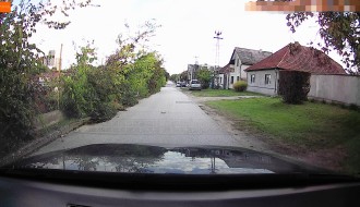 Divlje rastinje pored puta (Verušićkа ulicа)