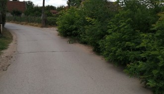 Problemi u Vrbaškoj ulici