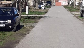 Opasni psi terorišu decu i stanovnike Ulice braće Milašin