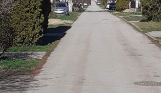 Opasni psi terorišu decu i stanovnike Ulice braće Milašin