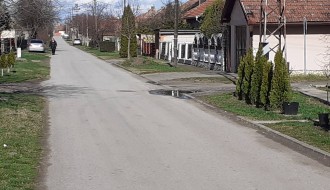 Opasni psi terorišu decu i stanovnike Ulice braće Milašin