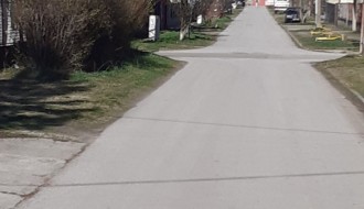 Opasni psi terorišu decu i stanovnike Ulice braće Milašin