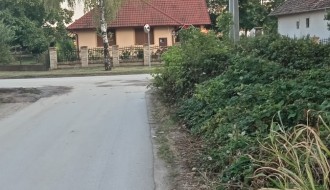 Zaklonjeni saobraćajni znakovi u Donjem Tavankutu