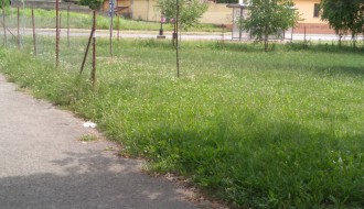 Nepokošena trava na igralištu na Karađorđevom putu
