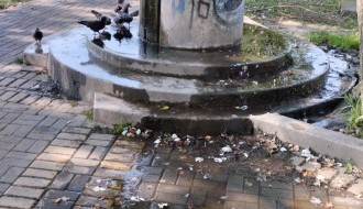 Česma na šetalištu Prozivka