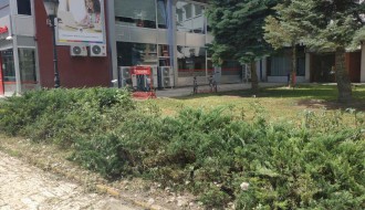 Sarićev spomenik i zelena površina