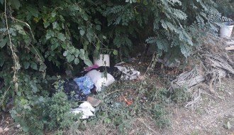 Mini deponija na Somborskoj pruzi