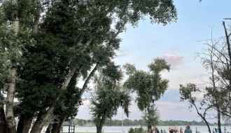 Loše stanje drveta na igralištu pored Palićkog jezera