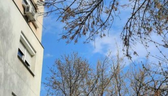 Orezivanje  grana i uklanjanje polomljenih opasnih po prolaznike - Segedinski put