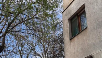 Orezivanje  grana i uklanjanje polomljenih opasnih po prolaznike - Segedinski put