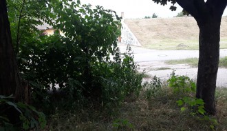 Nepokošena trava u MZ Peščara