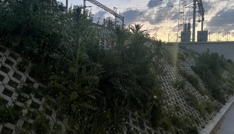 Korov svuda oko podvožnjaka