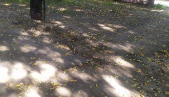 Udarna rupa na biciklističkoj stazi u Ulici braće Radić