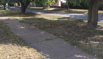 Neodnešeno posečeno granje i trava