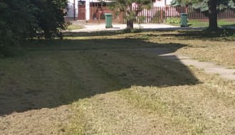 Neodnešeno posečeno granje i trava