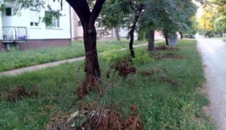 Neodnešeno posečeno granje i trava