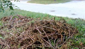 Neodnešeno posečeno granje i trava