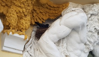 Gnezdo golubova u atlasu biblioteke