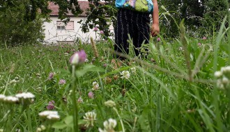 Zapušteno igralište u MZ Mali Radanovac