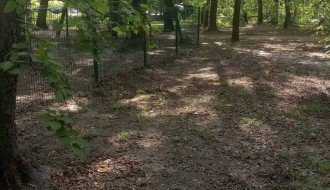 Česma u parku za pse neprestano teče