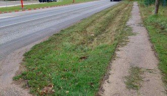 Trava i drveće na putu prema industrijskoj zoni