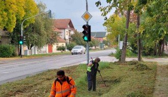 Trava i drveće na putu prema industrijskoj zoni