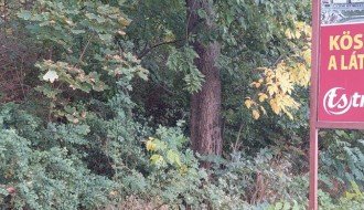 Trava i drveće na putu prema industrijskoj zoni