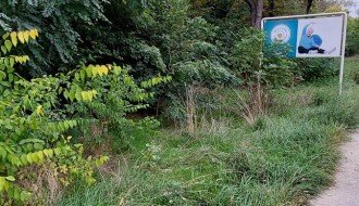 Trava i drveće na putu prema industrijskoj zoni