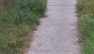 Trava i drveće na putu prema industrijskoj zoni