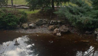 Traktorska guma u jezeru u Dudovoj šumi