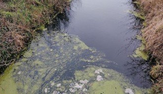 Ne može se disati koliko smrdi kanal u Bajmoku